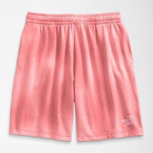 The north face men's dye shorts